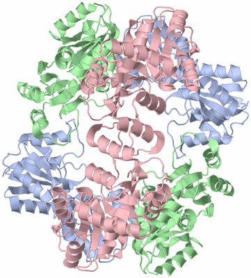 Image Biological Unit 2