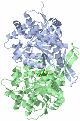 Image Asym./Biol. Unit - sites