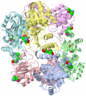 Image Asym./Biol. Unit