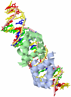 Image Biological Unit 1