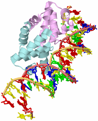 Image Biological Unit 2