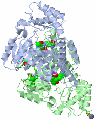 Image Asym./Biol. Unit - sites