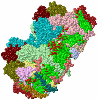 Image Asym./Biol. Unit - sites