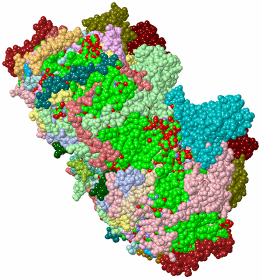 Image Asym./Biol. Unit - sites