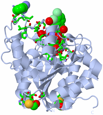 Image Biol. Unit 1 - sites