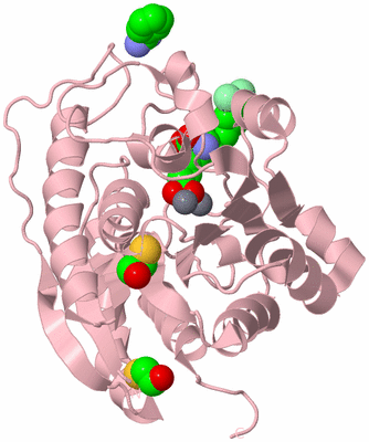 Image Biological Unit 3