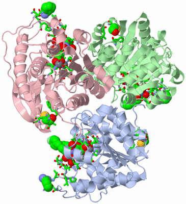 Image Biol. Unit 1 - sites