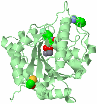 Image Biological Unit 3