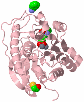 Image Biological Unit 4