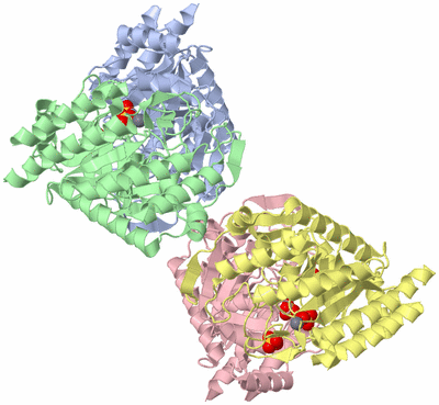 Image Asym./Biol. Unit