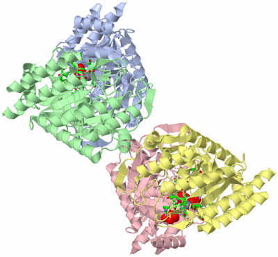 Image Asym./Biol. Unit - sites