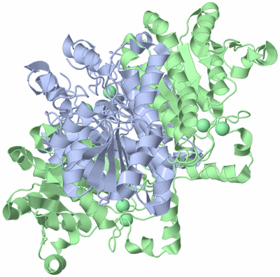 Image Biological Unit 1