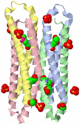 Image Biological Unit 3