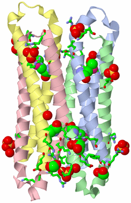 Image Asym. Unit - sites