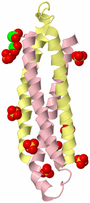 Image Biological Unit 2