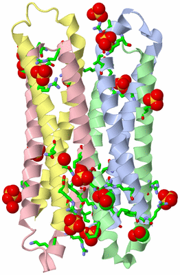 Image Asym. Unit - sites