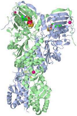 Image Asym./Biol. Unit