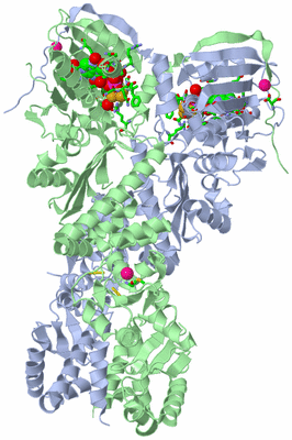 Image Asym./Biol. Unit - sites