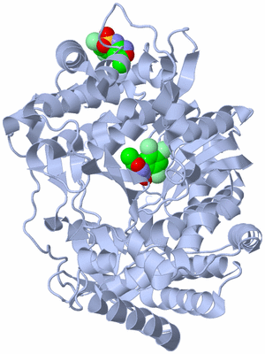 Image Biological Unit 1