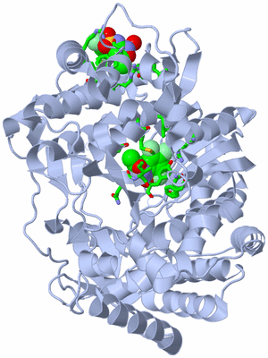 Image Biol. Unit 1 - sites