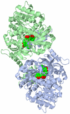 Image Asym./Biol. Unit