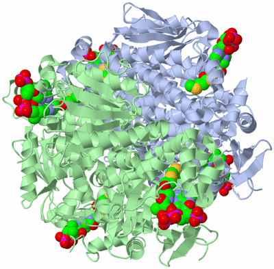 Image Biological Unit 1