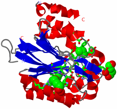 Image Asym. Unit - sites