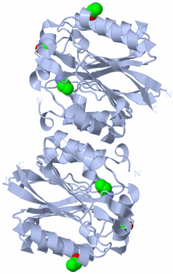 Image Biological Unit 1