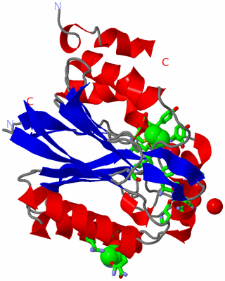 Image Asym. Unit - sites