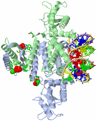 Image Asym./Biol. Unit - sites