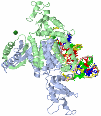 Image Asym./Biol. Unit