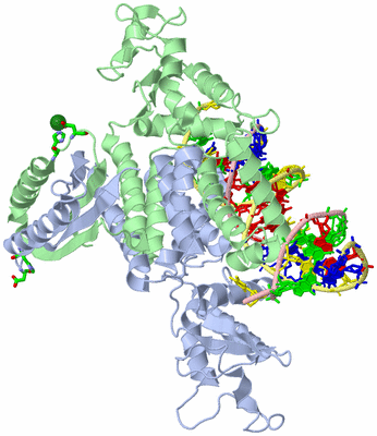 Image Asym./Biol. Unit - sites