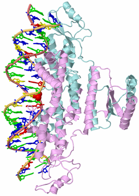 Image Biological Unit 2