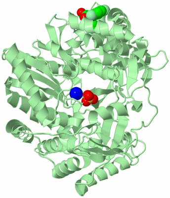 Image Biological Unit 2