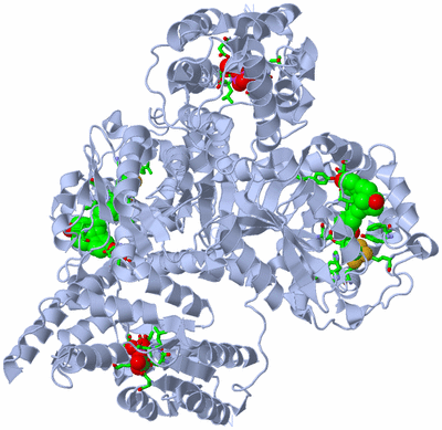 Image Biol. Unit 1 - sites