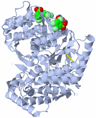 Image Biological Unit 1