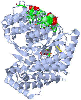 Image Biol. Unit 1 - sites