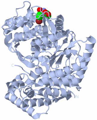 Image Biological Unit 1