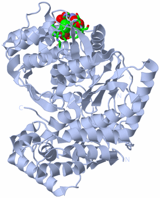 Image Biol. Unit 1 - sites