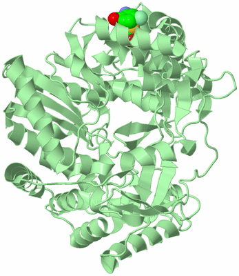 Image Biological Unit 2