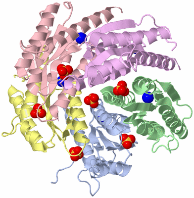 Image Asym./Biol. Unit