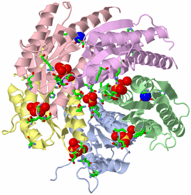 Image Asym./Biol. Unit - sites