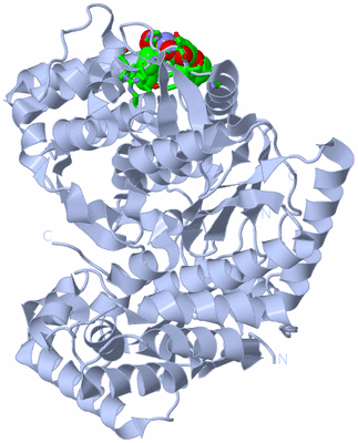 Image Biol. Unit 1 - sites