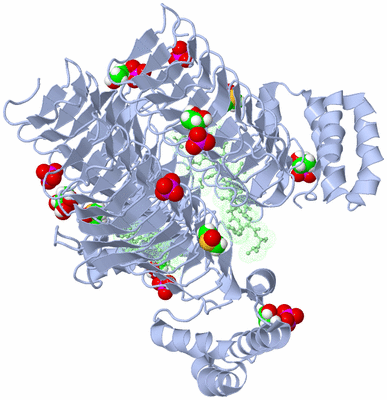 Image Biological Unit 1