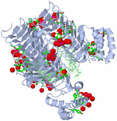 Image Biol. Unit 1 - sites