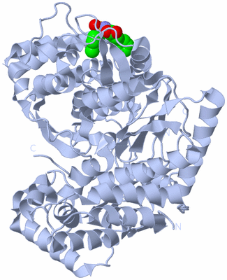 Image Biological Unit 1