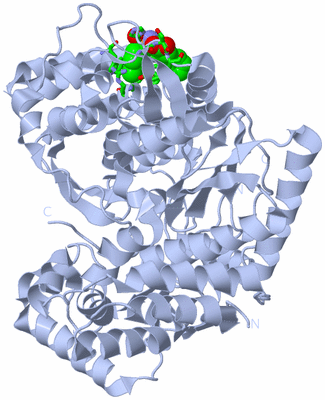 Image Biol. Unit 1 - sites