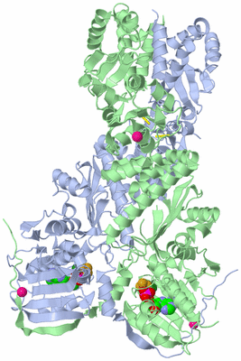 Image Asym./Biol. Unit