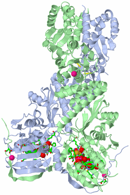 Image Asym./Biol. Unit - sites