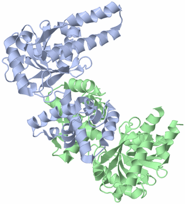 Image Asym./Biol. Unit